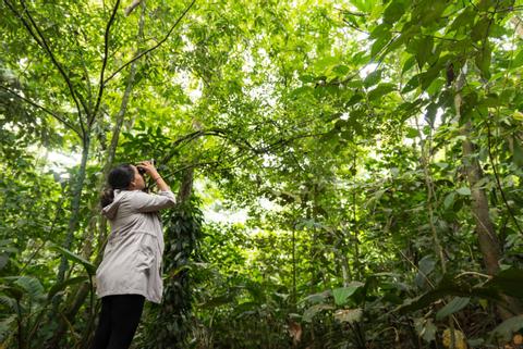 2-in-1 Safari Float and Chocolate Tour Costa Rica